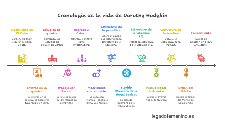 Infografía : Cronología de la vida de Dorothy Hodgkin